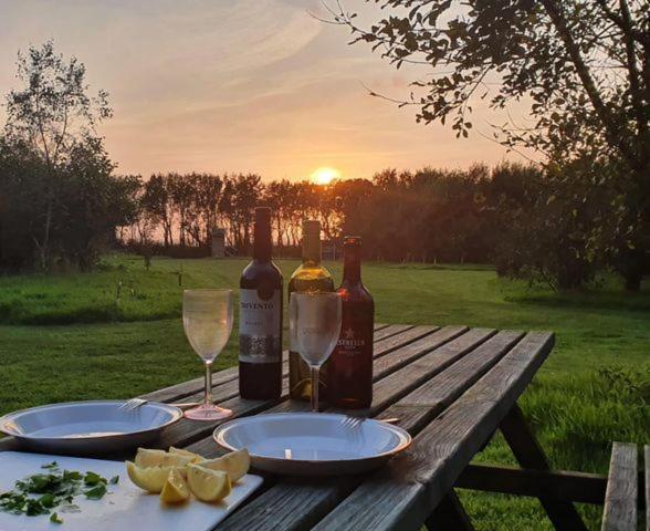 Mill Haven Place Glamping-Yurt 2 Хавърфордуест Екстериор снимка